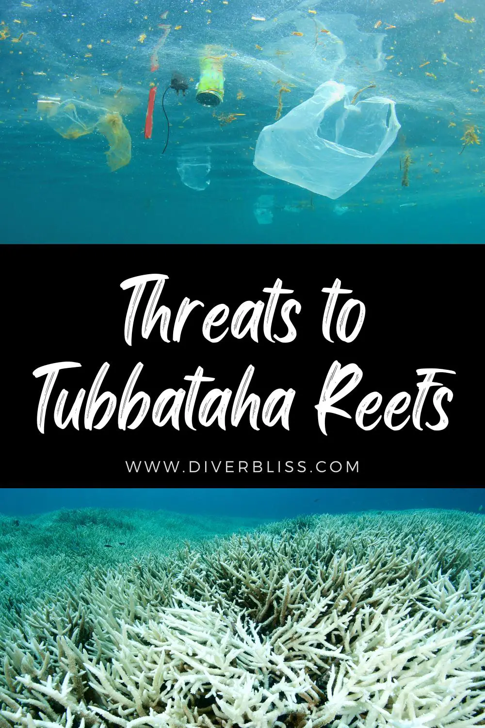 threats to tubbataha reefs