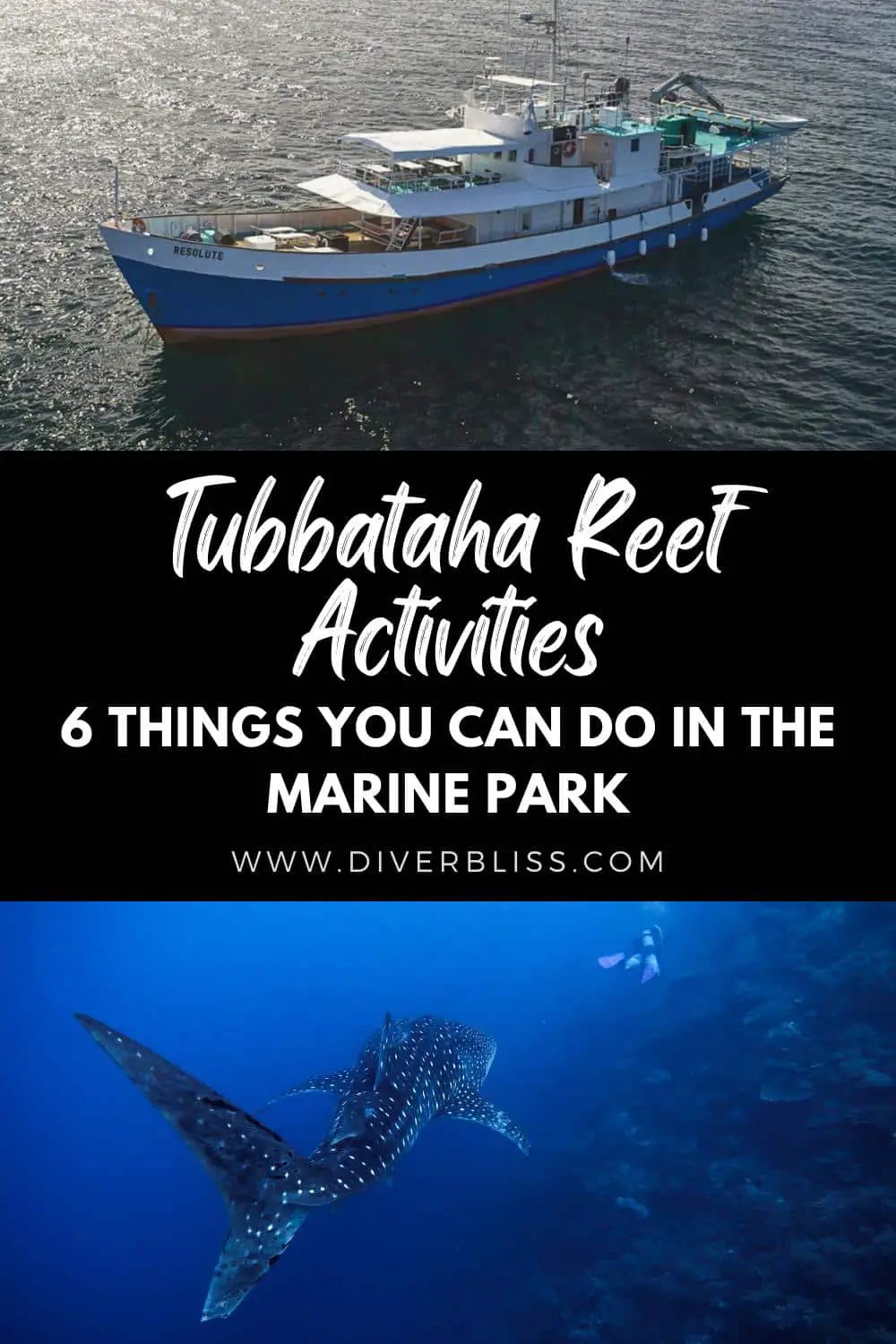 Tubbataha reef activities, 6 things you can do in the marine park