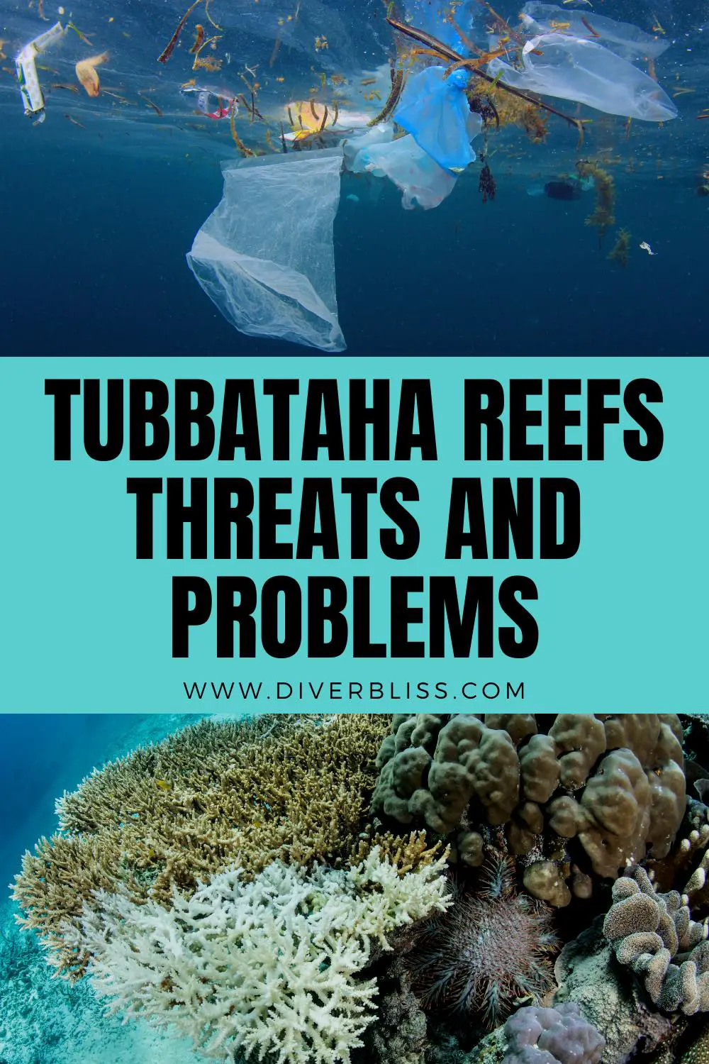 tubbataha reefs threats and problems