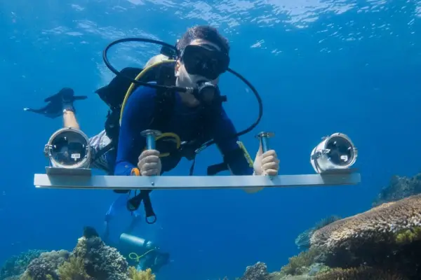 Reef assessments and studies with Institute for Marine Research