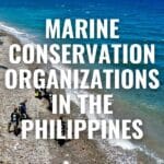 Marine Conservation-Organizations in the Philippines