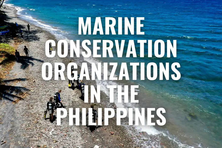 Marine Conservation-Organizations in the Philippines