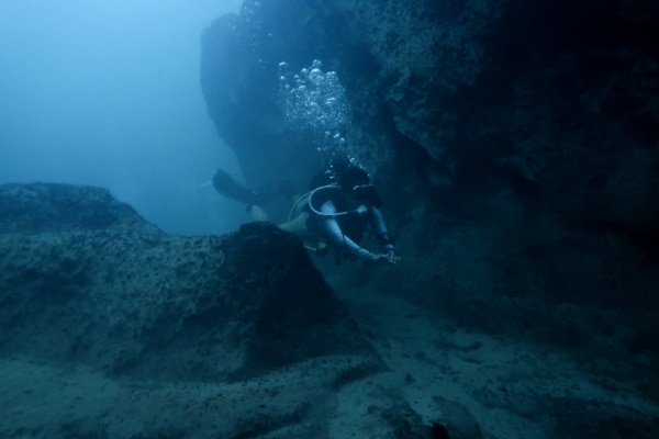 diver in barracuda lake