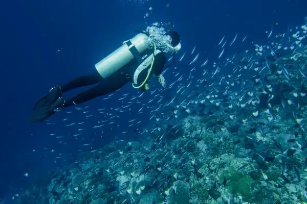 diver in apo reef