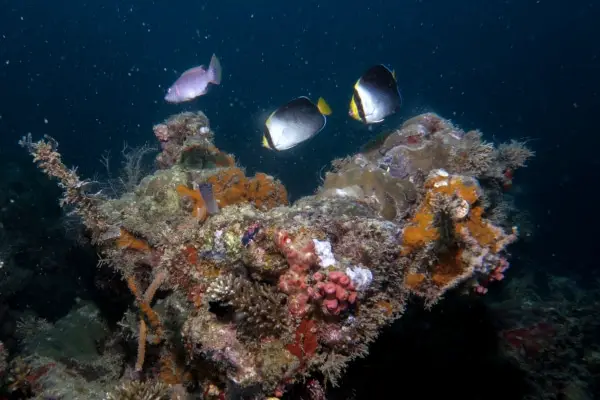 okikawa wreck