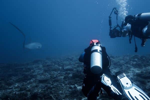 scuba diving with thresher sharks in malapascua