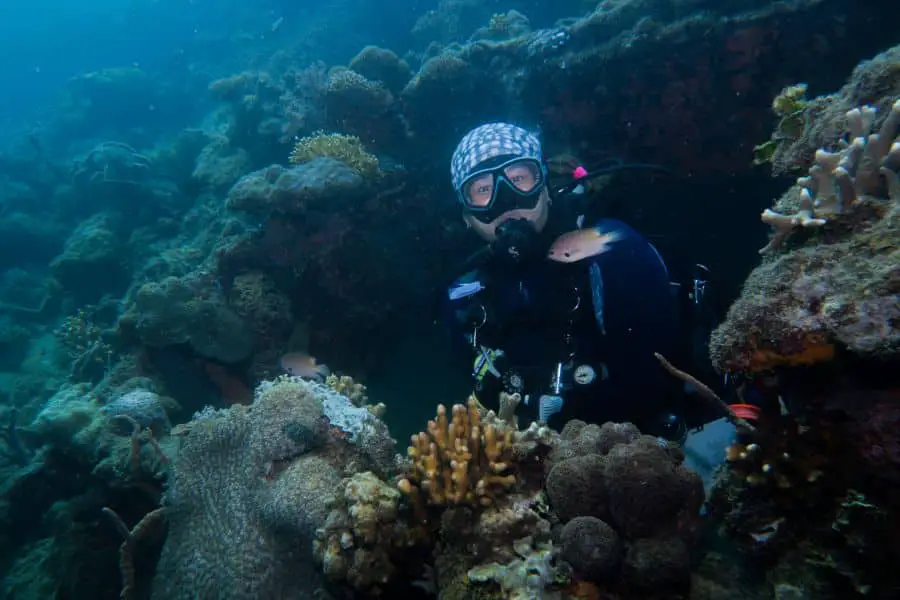 diving coron wrecks