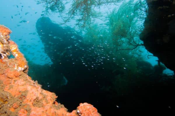 kogyo maru wreck