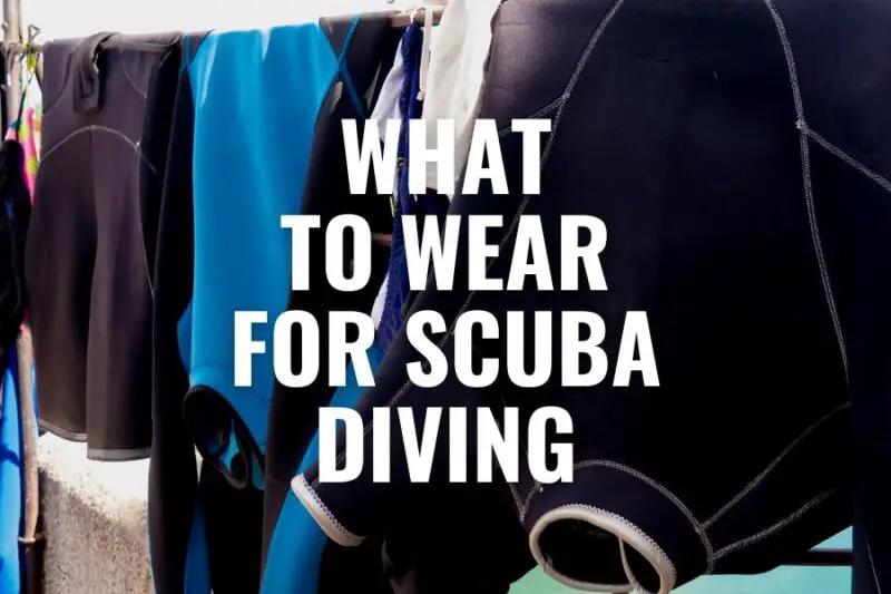 What To Wear For Scuba Diving Attire For Scuba Divers