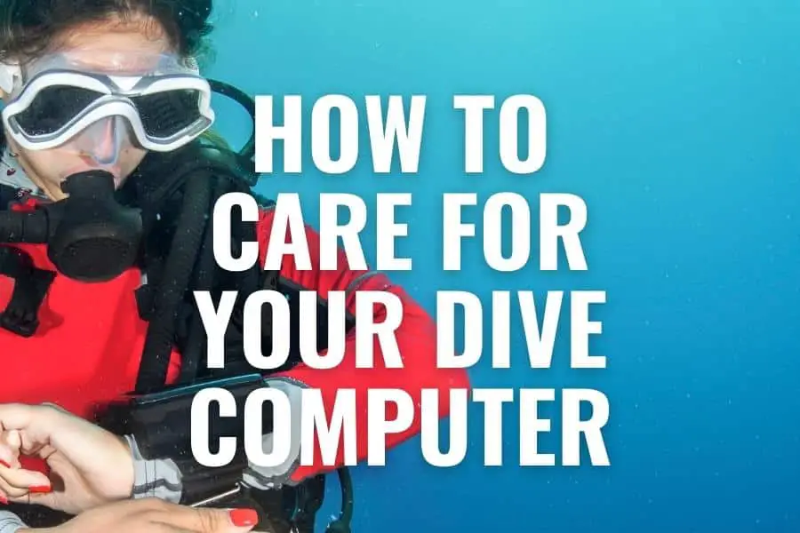 how to care for your dive computer
