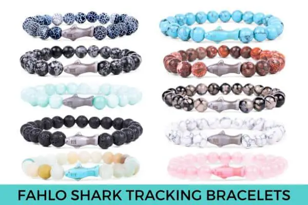 Fahlo Shark Tracking Bracelets