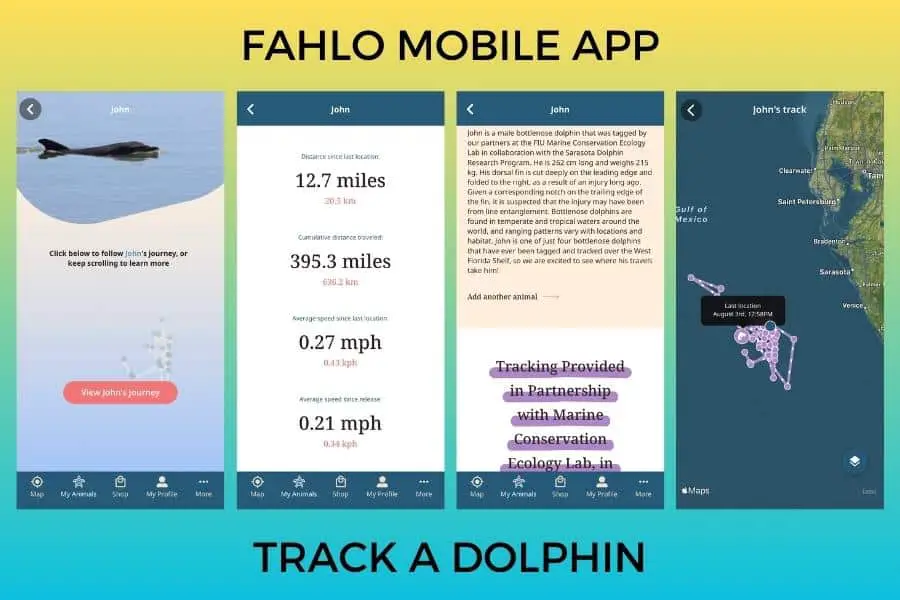 Fahlo track a dolphin mobile app