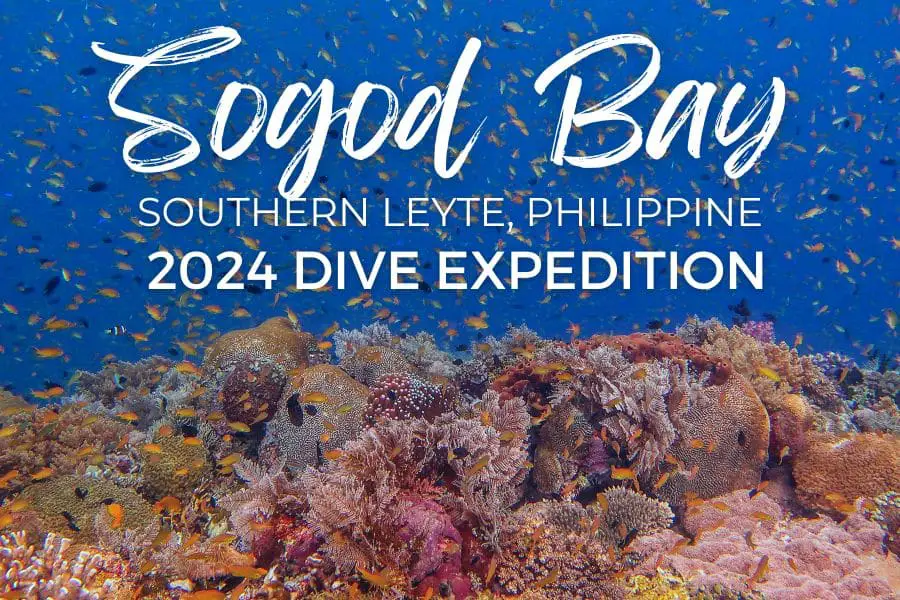 Sogod bay scuba diving trip