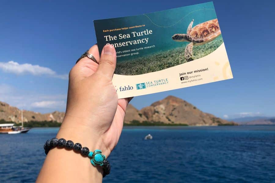 Best Sea Turtle Tracking Bracelet: Fahlo Review