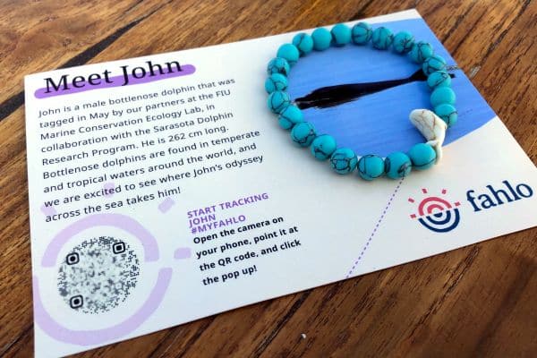 Best Dolphin Tracking Bracelet By Fahlo