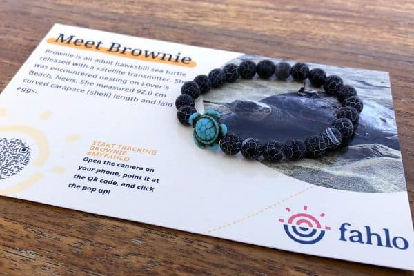 Best Sea Turtle Tracking Bracelet: Fahlo Review