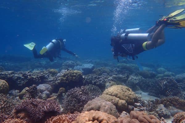 Coral Reef & Rainforest Conservation Project (CRCP)