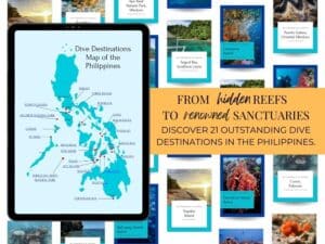 Discover 21 Top Diving Destinations in the Philippines