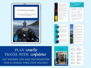 Plan your Philippine dive trip with ease